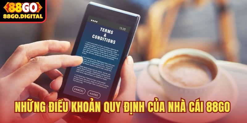 Điều khoản và điều kiện