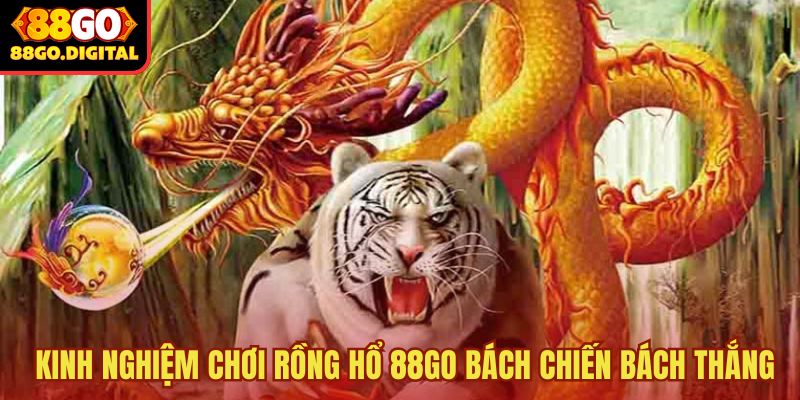 rồng hổ 88GO